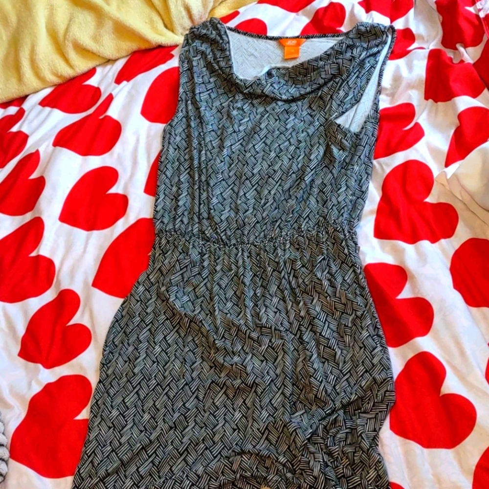 Joe Fresh Dress